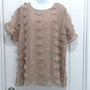 Gorgeous Raised Floral Sheer Blouse. NWOT